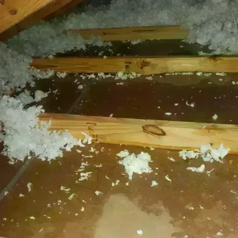 Attic Water Damage in Eclectic, AL