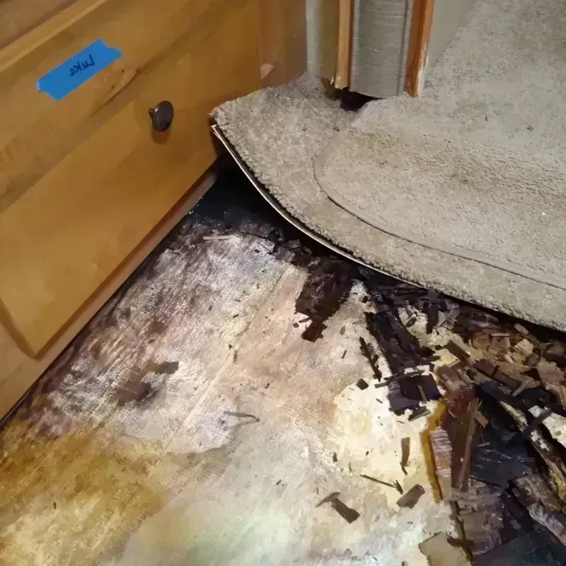 Wood Floor Water Damage in Eclectic, AL